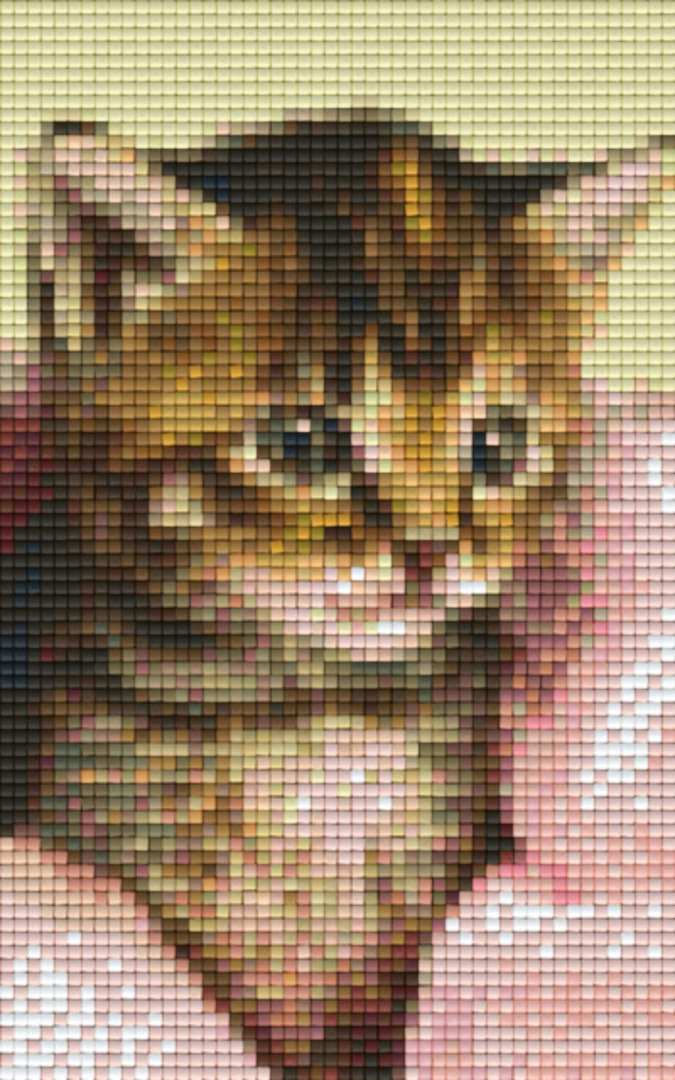 Kitten 2 Two [2] Baseplate PixelHobby Mini-mosaic Art Kit image 0